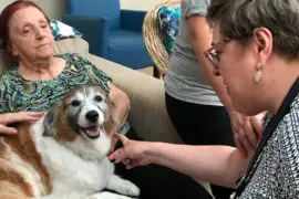 hospedagem assistida